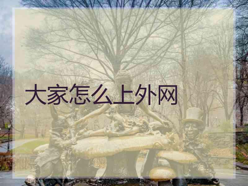 大家怎么上外网