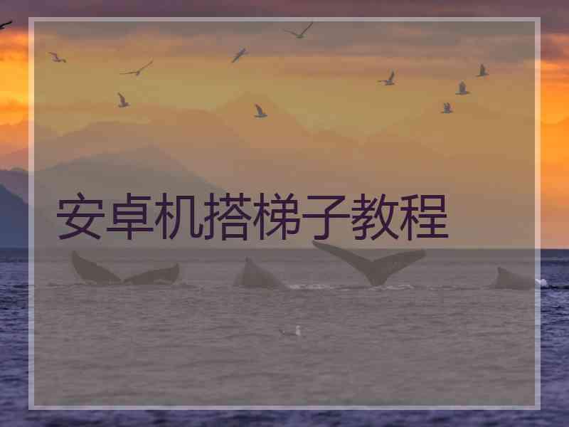 安卓机搭梯子教程