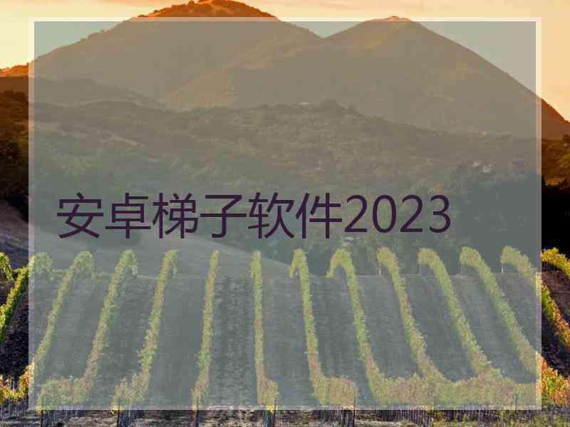 安卓梯子软件2023