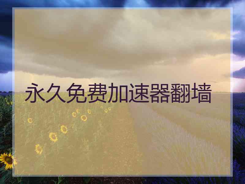 永久免费加速器翻墙